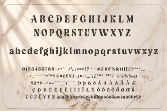Velour Delamio: The Font That Commands Attention Before a Word Is Read
